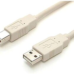 StarTech 10 FT Beige A to B USB Cable M/M