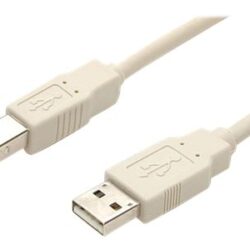 StarTech 6 FT Transparent A to B USB 2.0 Cable M/M